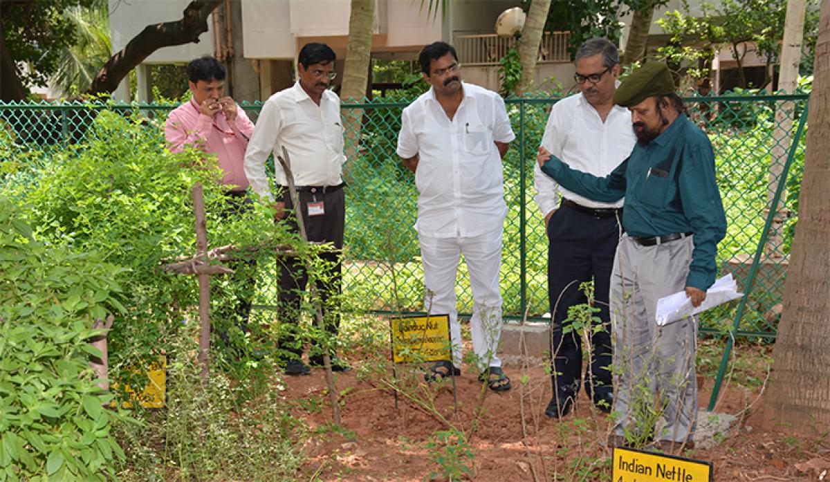 Dr BK Mukharjee explaining about endangered medicinal plant to Debashis Sanyal and other officials